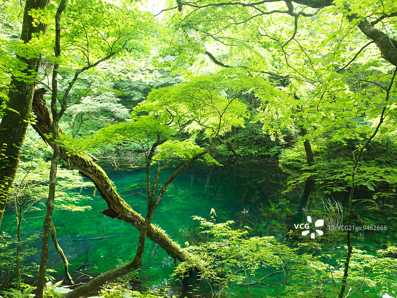青森县深浦町，日本图片素材