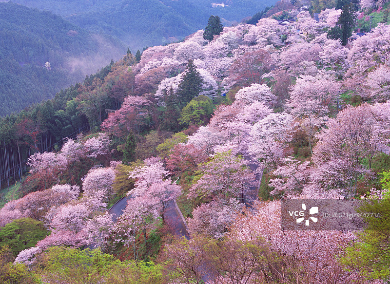 日本奈良县吉野山图片素材