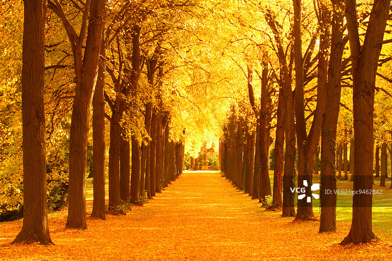 德国无忧宫公园图片素材