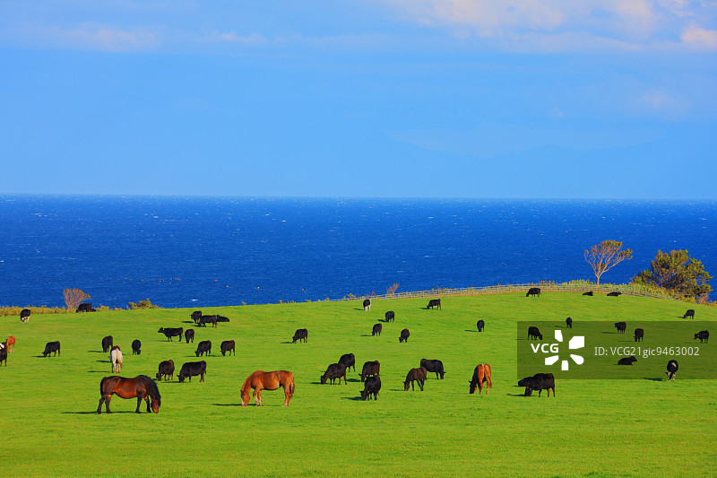 日本北海道网走市能取岬图片素材