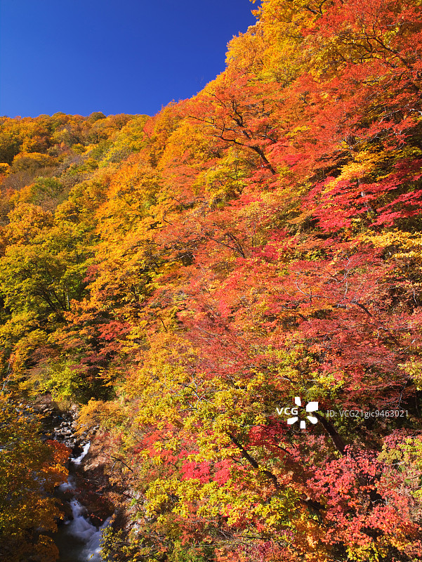 岩手县仙岩峡图片素材