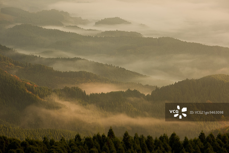 日本大分县汤布院山谷图片素材