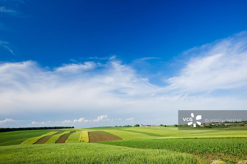 保加利亚斯韦什塔里的多瑙河平原图片素材