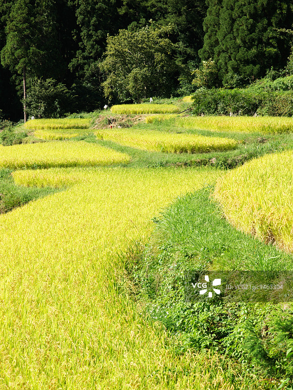日本长野露台图片素材