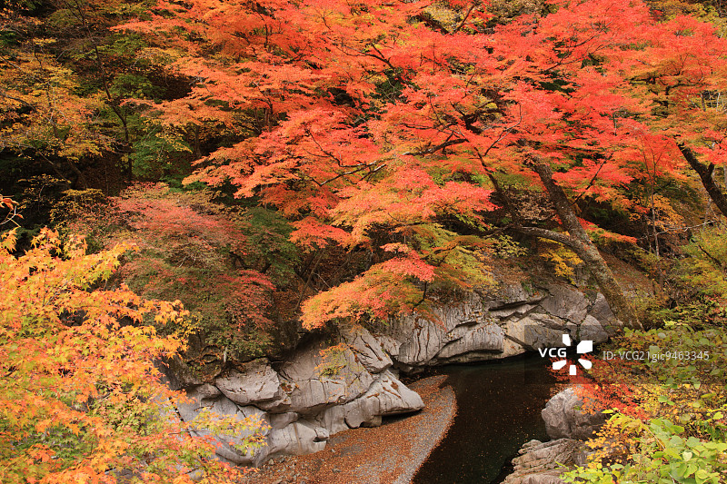 埼玉县中津峡，日本图片素材
