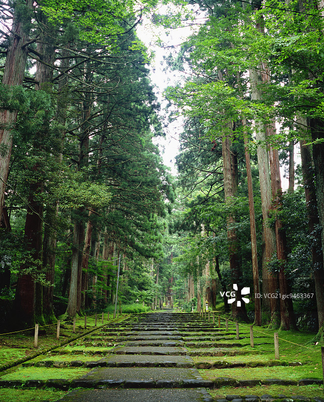 福井县平泉寺白山神社图片素材