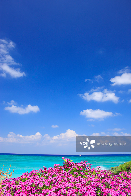 日本鹿儿岛县与论岛图片素材