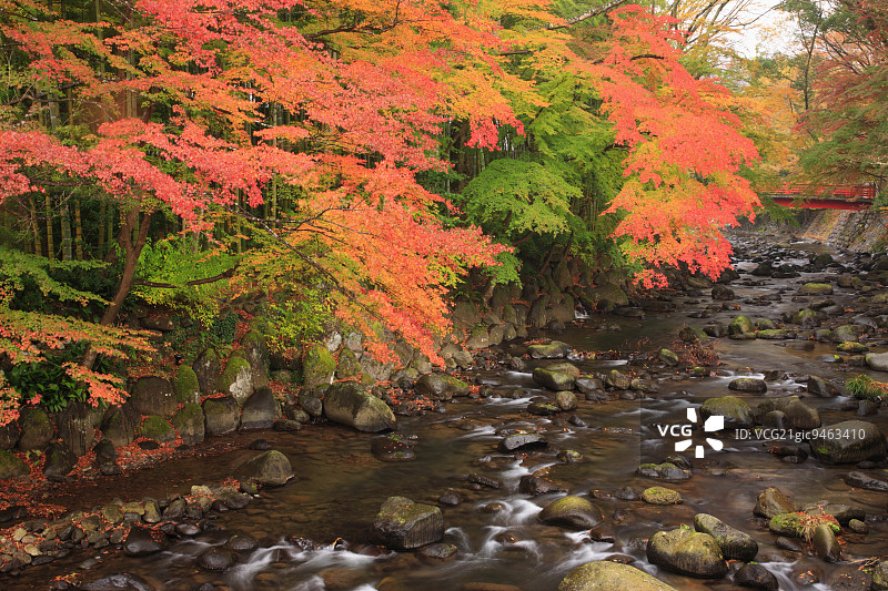 日本静冈县修善寺温泉图片素材