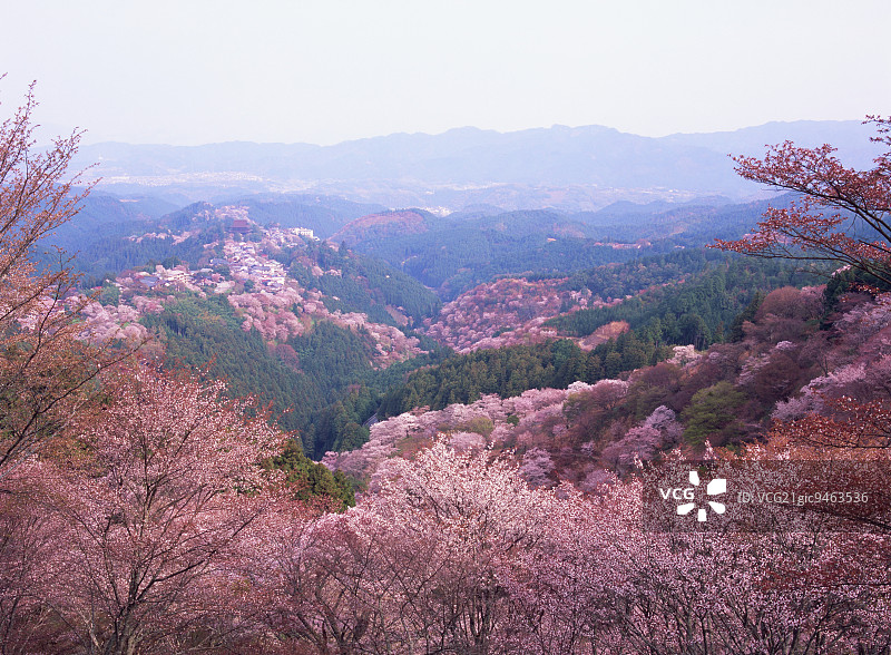 日本奈良县吉野山图片素材