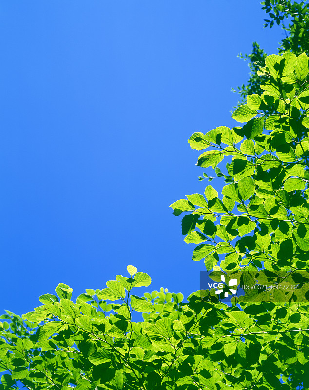 日本栃木县日光市图片素材