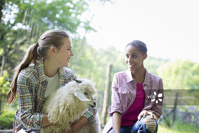 农场里的两个小女孩，其中一个搂着一只毛茸茸的安哥拉山羊图片素材