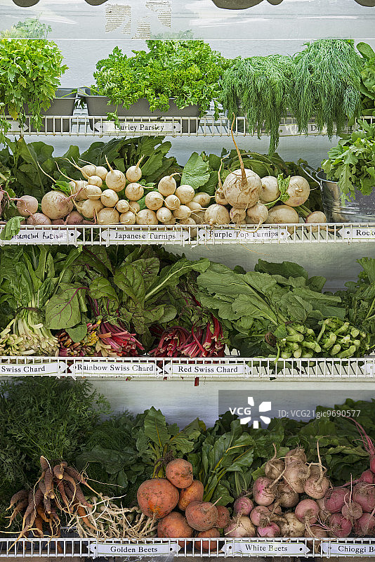 农产品摊位上出售的各种新鲜蔬菜图片素材