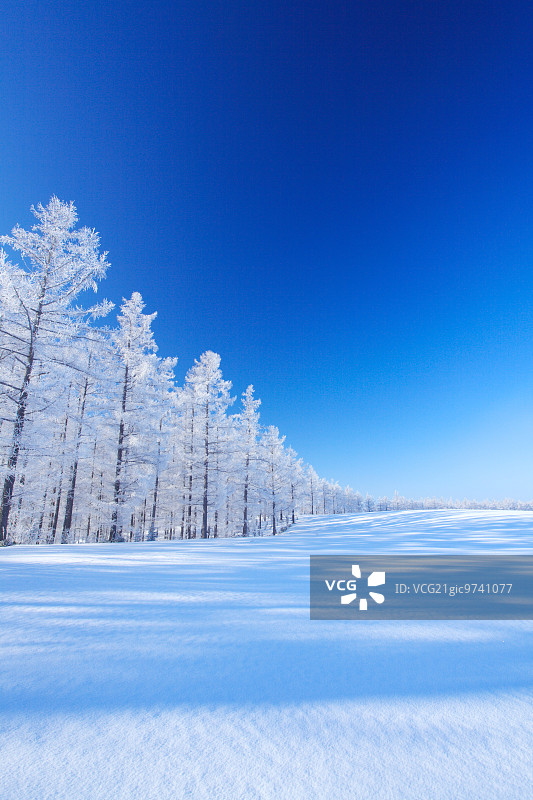 北海道美瑛町图片素材