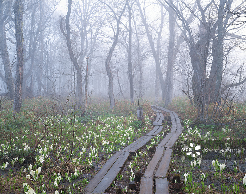 日本群马县图片素材