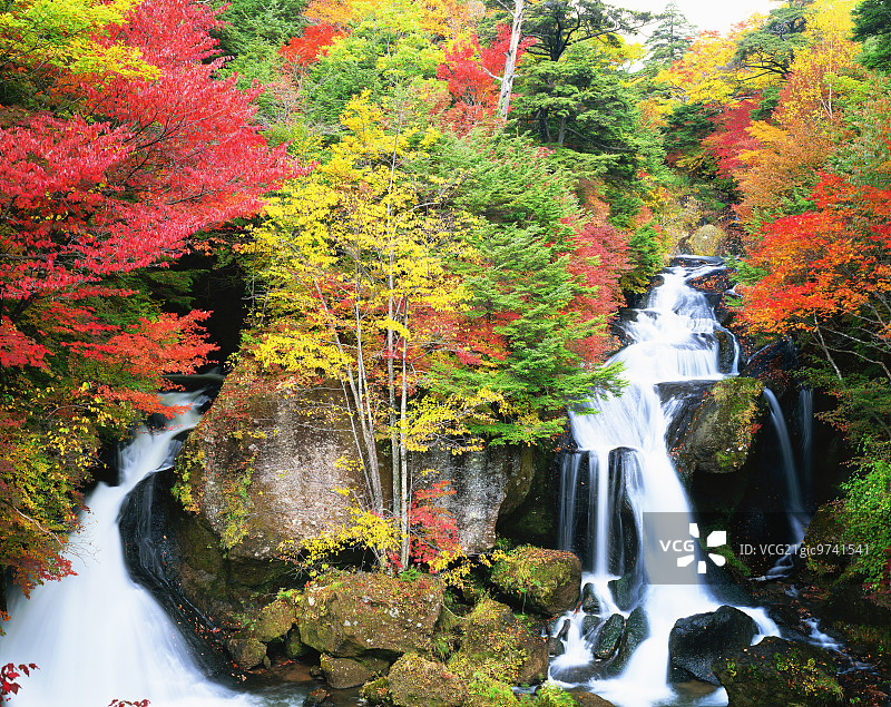 秋叶与溪流图片素材