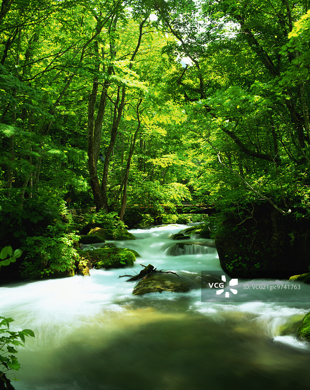 奥入濑山涧图片素材