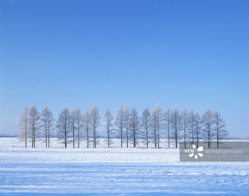 日本北海道图片素材