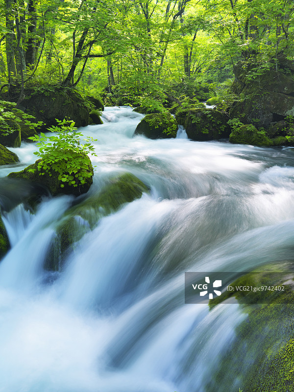 青森县奥入濑山涧图片素材