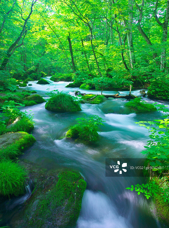 青森县奥入濑山涧图片素材