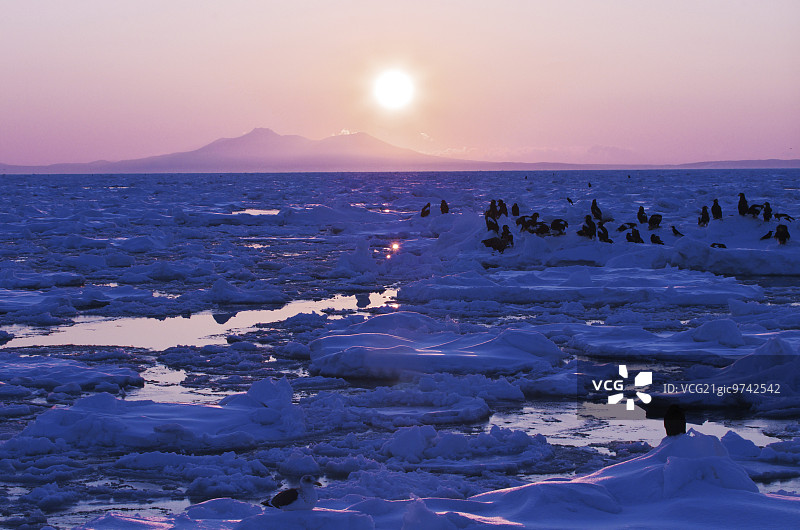北海道国后岛图片素材