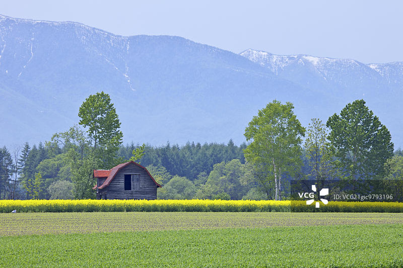 日高山脉图片素材
