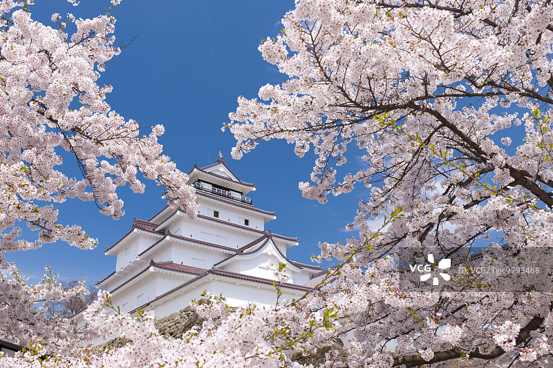 福岛县若松城图片素材