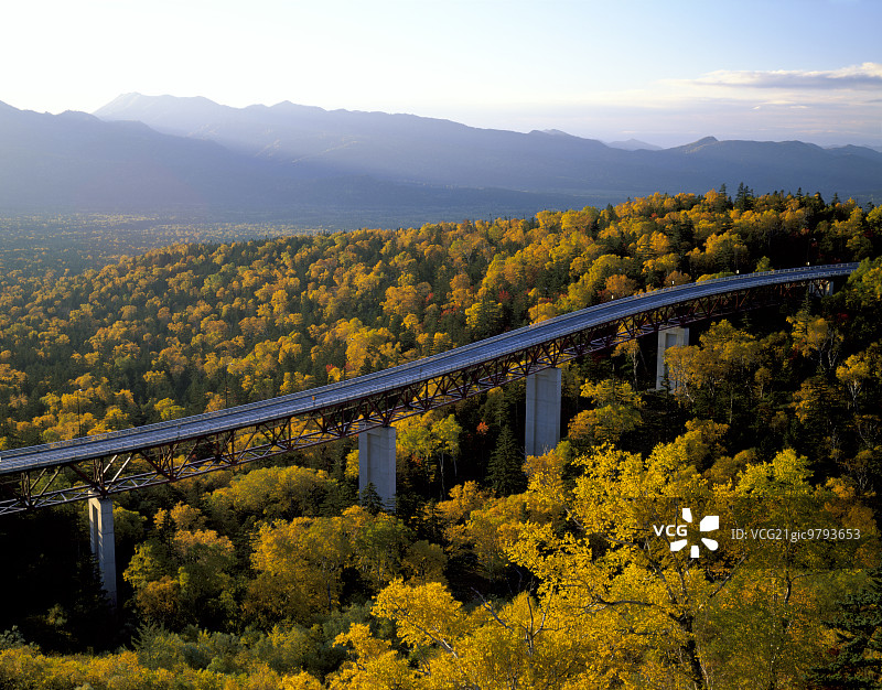秋天的颜色图片素材