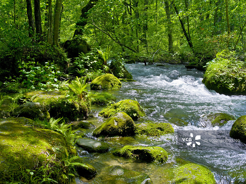 青森县奥入濑山涧图片素材