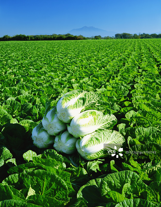 日本茨城县图片素材