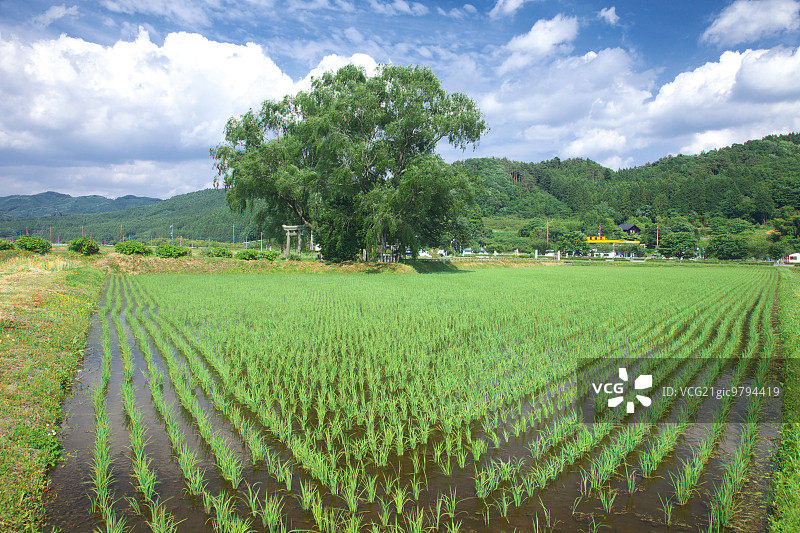 口木县,日本图片素材