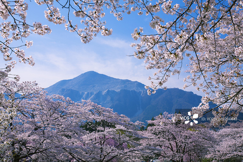 日本埼玉县图片素材