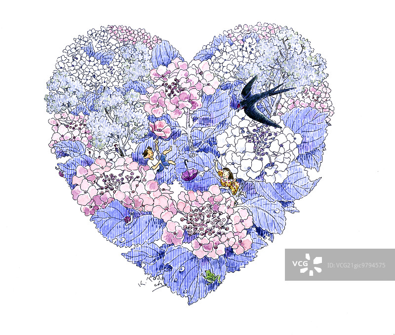 花朵插画图片素材