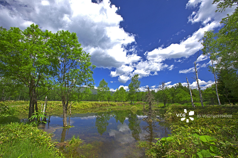 日本北海道图片素材