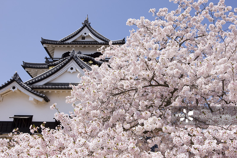 志贺县,日本图片素材