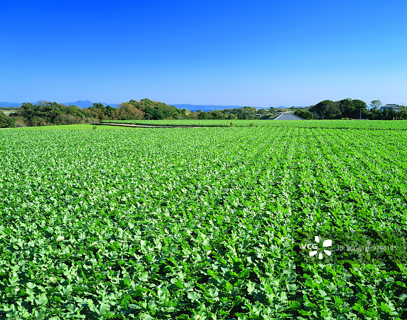 日本神奈川县图片素材