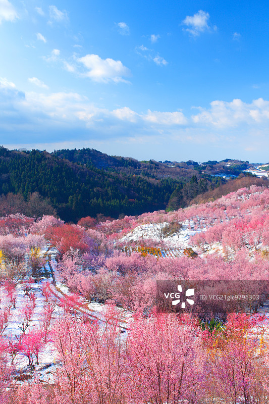 日本福岛县图片素材
