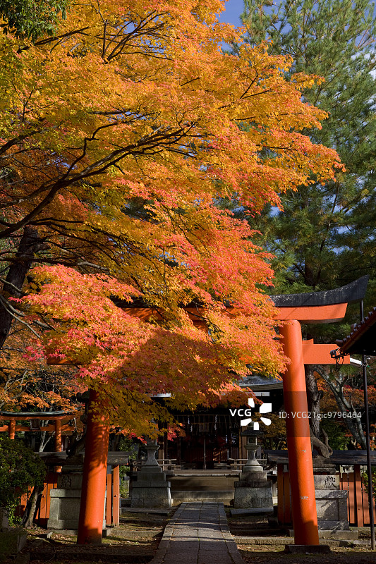 秋天的颜色图片素材