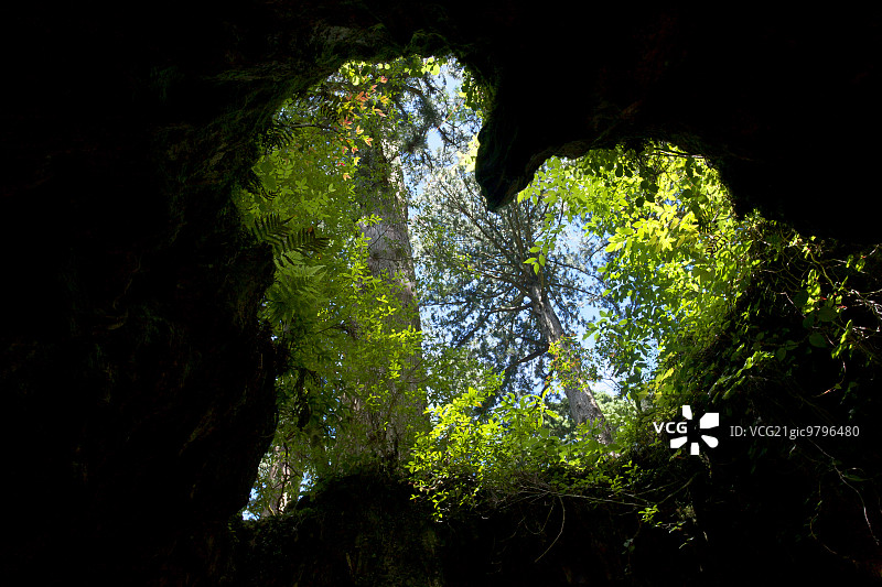 鹿儿岛县屋久岛图片素材