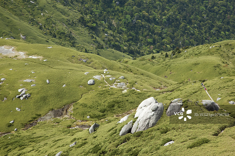 鹿儿岛县屋久岛图片素材