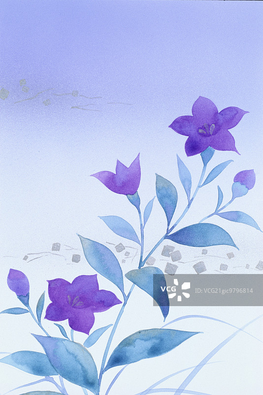 花朵插画图片素材