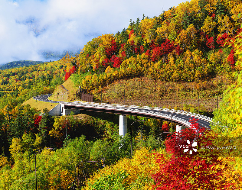 秋天的颜色图片素材