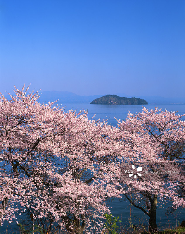 日本滋贺县高岛市尾崎海津图片素材
