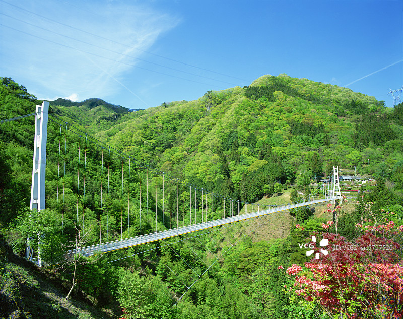 日本群马县上野村空中栈桥图片素材