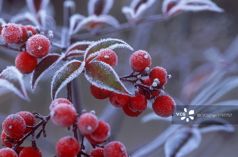 日本奈良图片素材