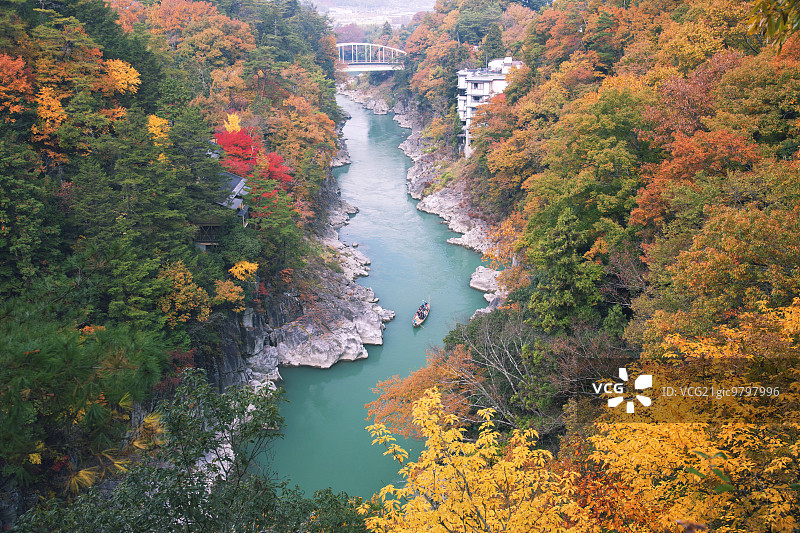 秋天的颜色图片素材
