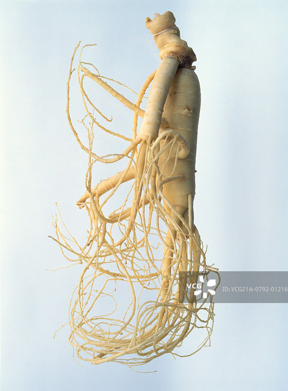 人参根部特写图片素材