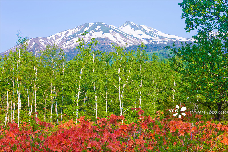 森林中雪后的山脉图片素材