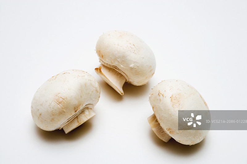 白色背景上的蘑菇图片素材