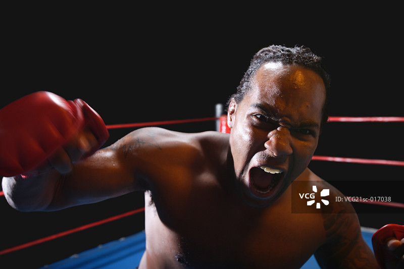 综合格斗选手图片素材