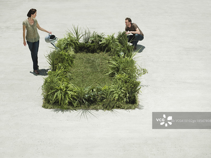 人们在水泥庭院浇灌茂盛的草坪图片素材